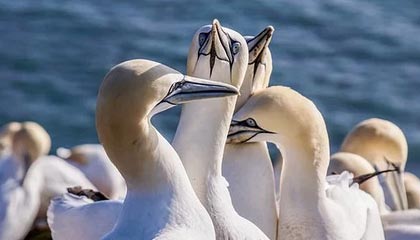 南美首富到首穷！货币贬值100万倍，月薪买不起肉