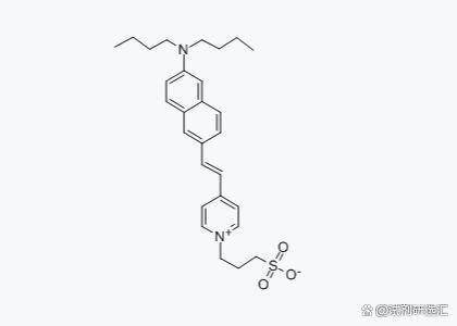 90134-00-2，Di-4-ANEPPS具有较好的细胞膜通透性