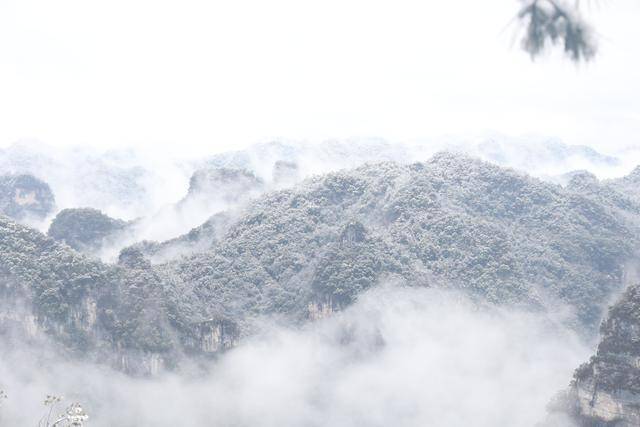 美丽“冻”人！世界自然遗产地施秉云台山雪景又上新 The snowy Yuntai Mountain is back with a new look