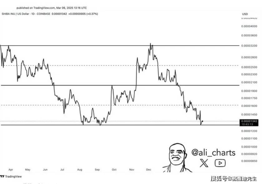 Memecoins 引发人们的兴趣：柴犬币、狗狗币和 Floki 展现潜力