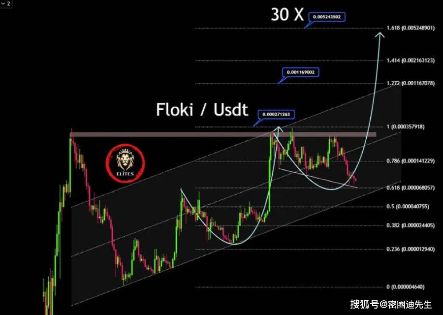 Memecoins 引发人们的兴趣：柴犬币、狗狗币和 Floki 展现潜力