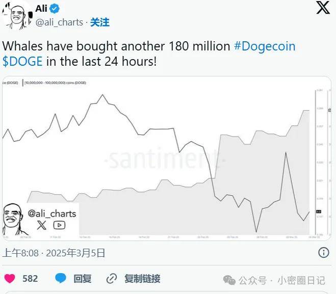 狗狗币 ($DOGE) 反弹在即？关键指标释放看涨信号！