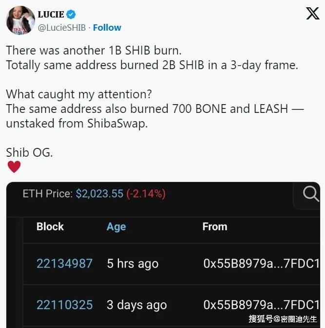 神秘巨鲸再出手，10亿SHIB灰飞烟灭！SHIB团队狂喜：牛市要来了！