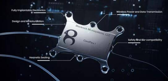 XBIT去中心化交易所携BrainOS技术引爆meme币“神经狗”飙升