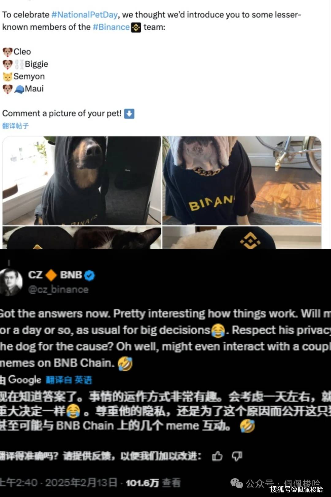 CPI爆表！比特币暴力回血！CZ自家“宠物狗”发meme，Bnb链上生态强势复苏！可以埋伏这四个币安链的动物 ！