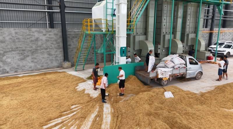 资阳安岳建成现代化粮食烘干贮藏中心