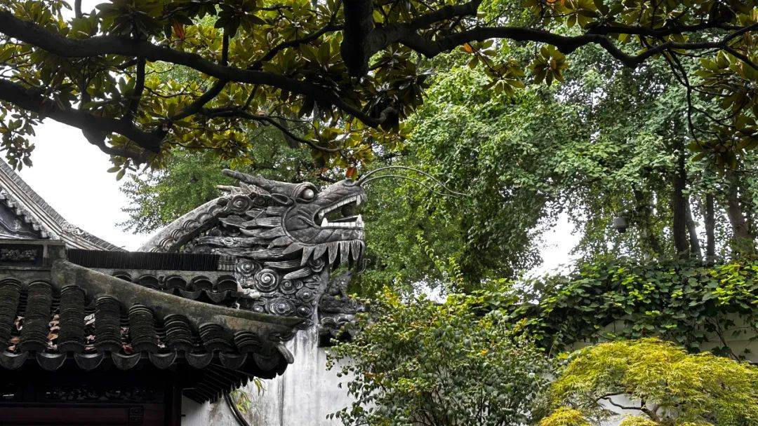 上海最冷门的赏秋景点，能省一大笔“沪币”