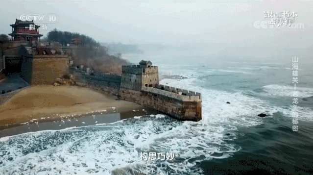 11部宝藏纪录片！必刷→