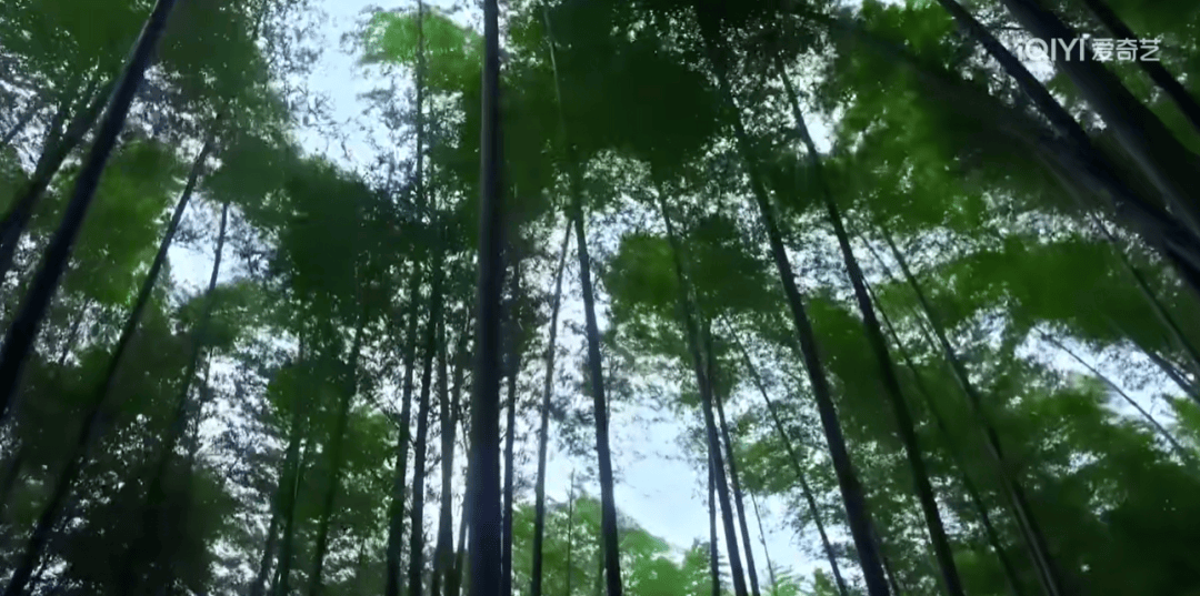 11部宝藏纪录片！必刷→