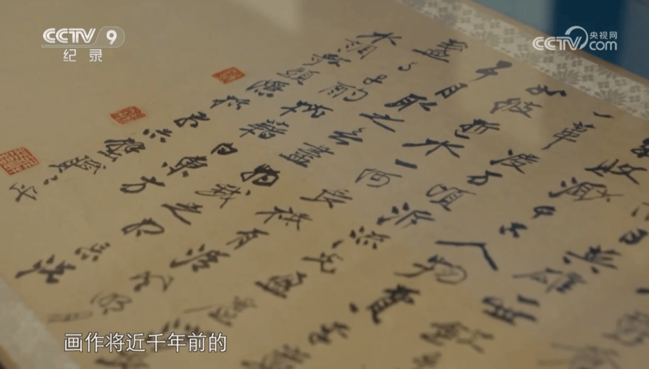 11部宝藏纪录片！必刷→