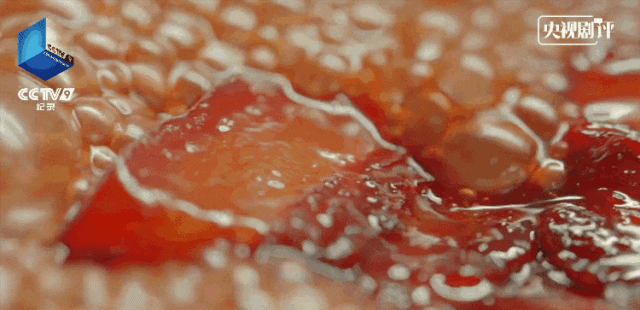 11部宝藏纪录片！必刷→