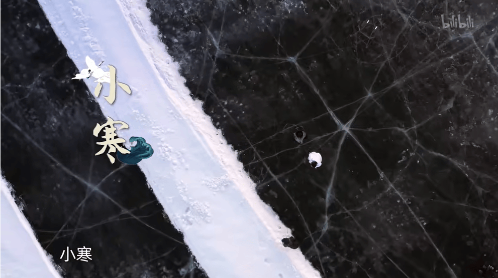 11部宝藏纪录片！必刷→