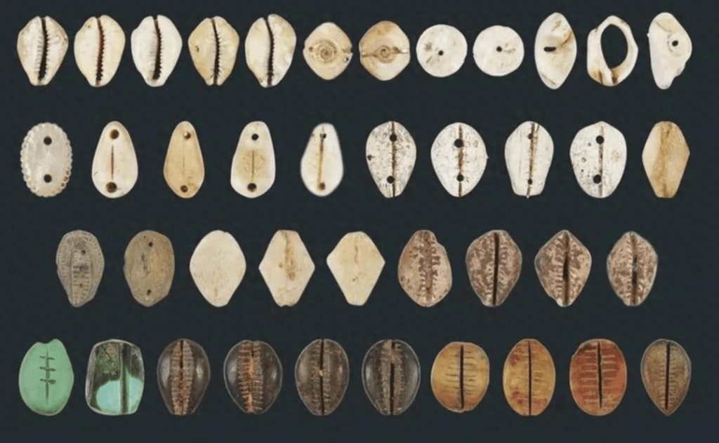 贝壳成货币，一串能买奴隶：古人不疯狂赶海，原是这几点限制