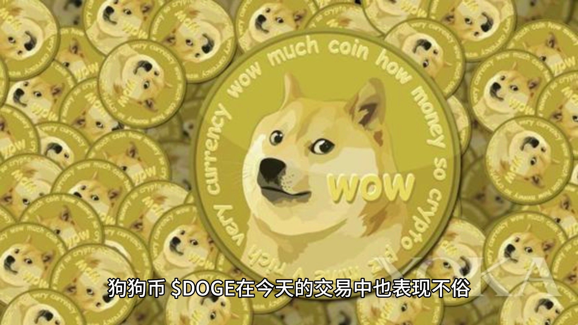 狗币的今日价格(比特币今日行情价格)