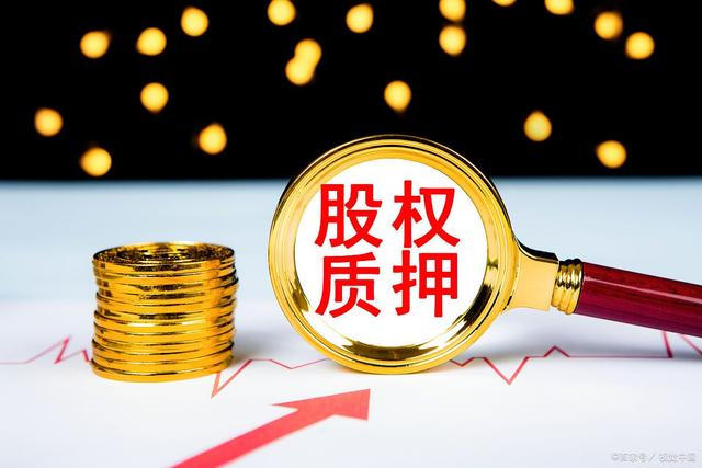 担保证券(担保证券上市公司股东大会议案需要投票)
